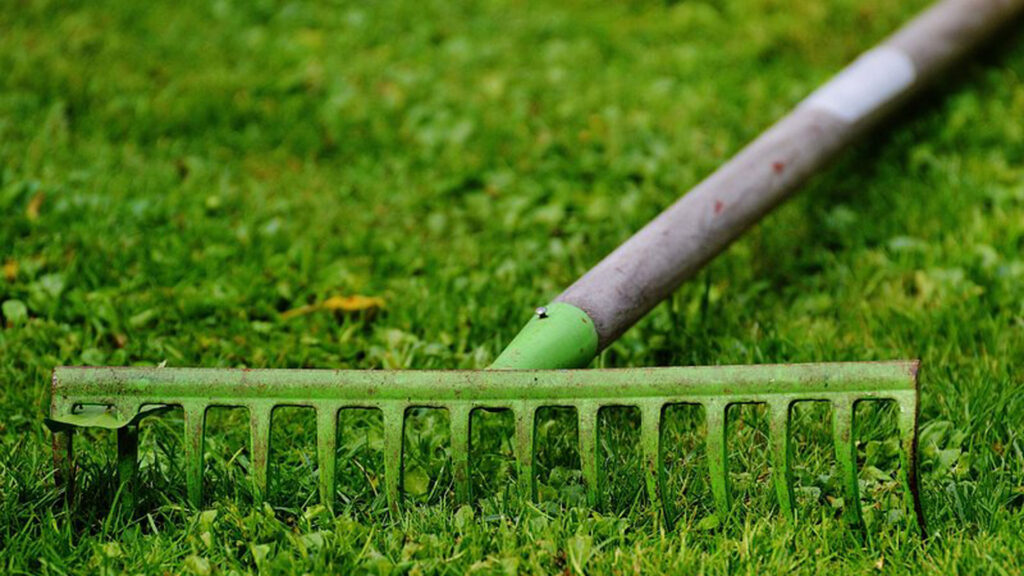 rake in garden